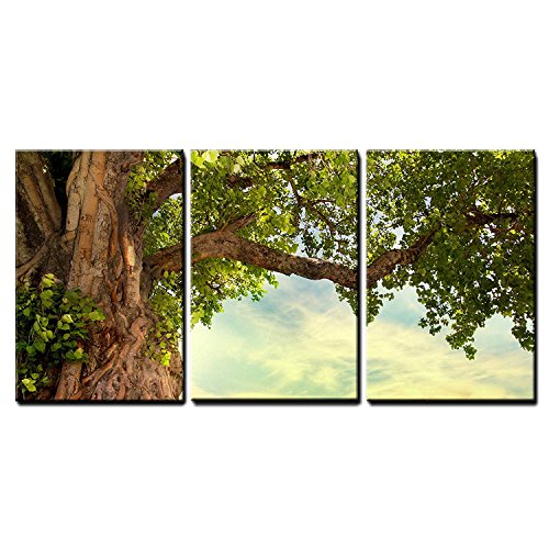 wall26 - 3 Piece Canvas Wall Art - Spring Meadow with Big Tree with Fresh Green Leaves - Modern Home Art Stretched and Framed Ready to Hang - 24