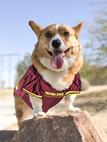 Image of Pets First Collegiate Arizon State University Sun Devils Dog Mesh Jersey, Medium