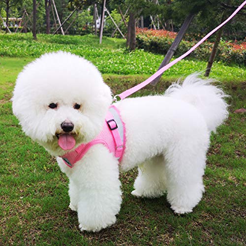 FEimaX Katzengeschirr Hundegeschirr mit Leine Ausbruchsicher Weich Mesh Welpengeschirr Reflektierende Verstellbare Katzen Weste für Kleine Hunde Katzen Chihuahua