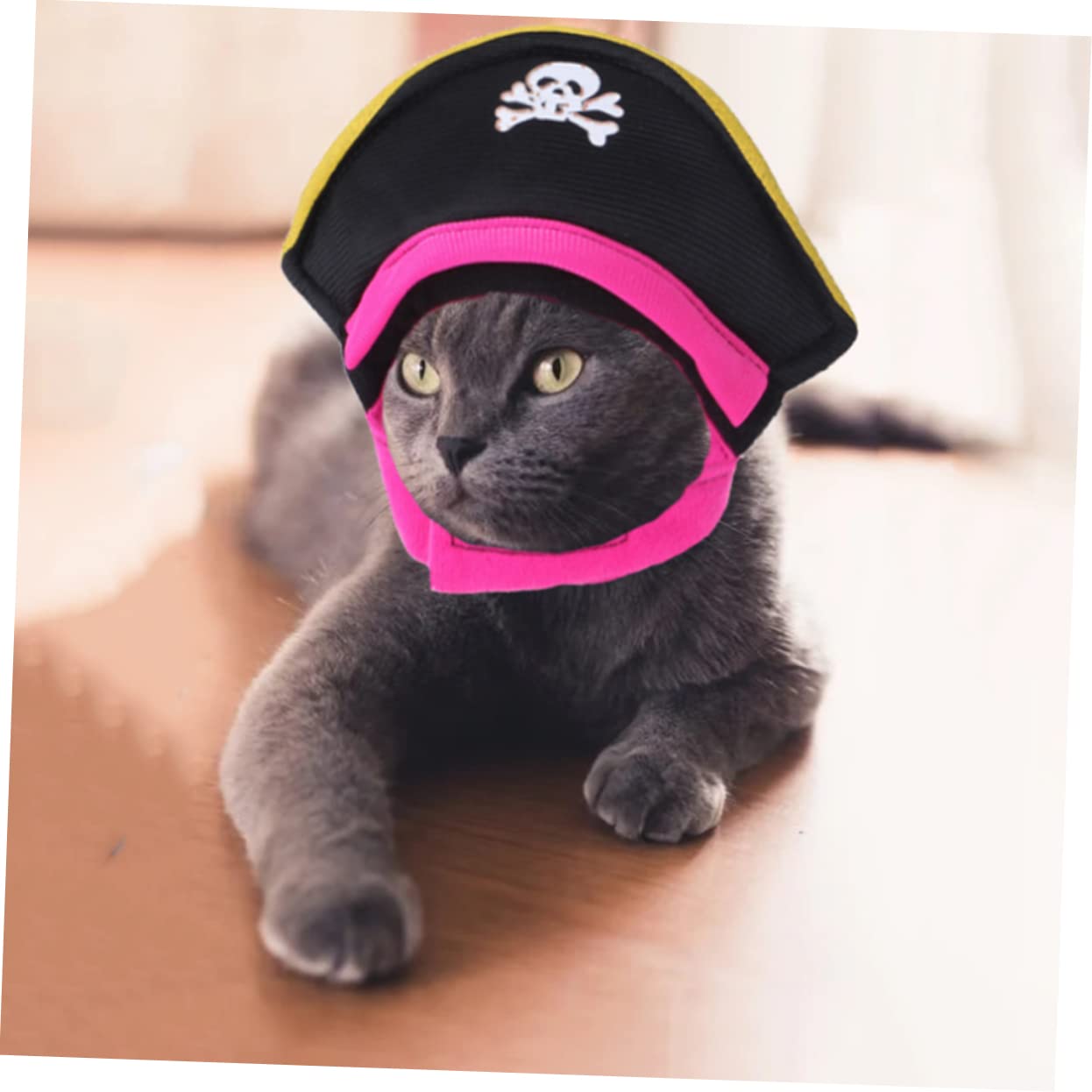 BESPORTBLE 5 Set Pet Costume Di Trasformazione Piccolo Cane Pigiama Costumi Del Cane Vestiti Del Gattino Bel Cappello Gatto Divertente Gatto Costumi Da Pirata Interessante Cappello