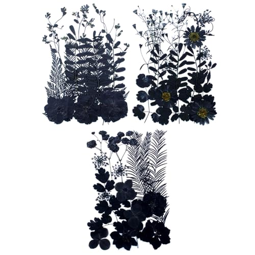 Surakey 3 Pack Flores secas prensadas negras para manualidades miniatura 1