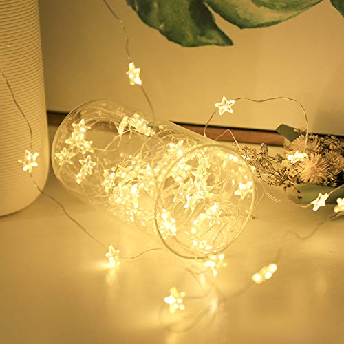 Salcar 10m100球USB式LEDイルミネーションライト 銅線ワイヤーライト 電飾 結婚式 クリスマス ハロウィーン 電球色