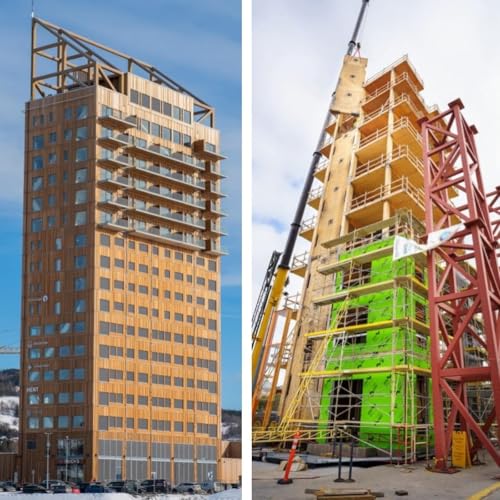 The Wooden Skyscraper Revolution