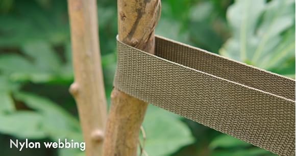 Amazon.com: Tree Straps for Staking, 8 PCS Tree Support Straps for ...