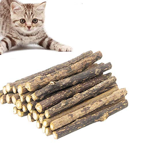 JIASHA Palitos de Catnip para Gatos, Juego de 30 palitos de Hierba gatera para Gato,Protección del Cuidado Dental, Adecuado Juguete para Gatos de Interior