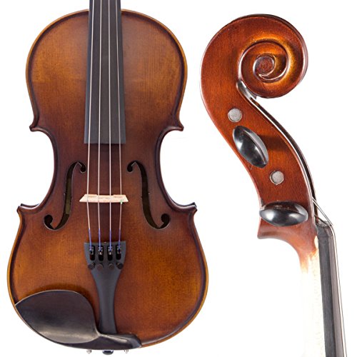 Professional Violin Beginner Full Size