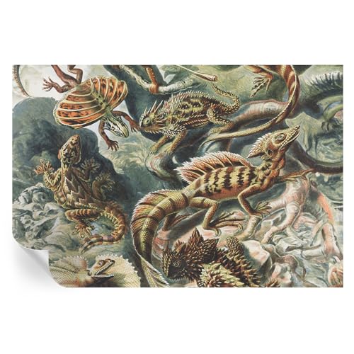 Decoración de pared de salón con vinilos y murales de reptiles exóticos 2
