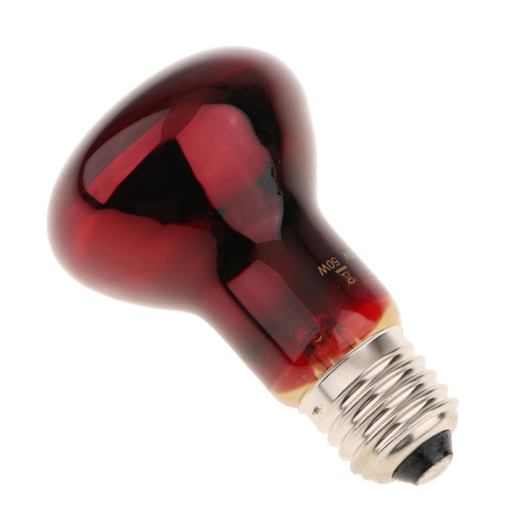 SECRET DESIRE Reptile Tortoise Amphibian Nightlight Infrared Light E27 Base Heat Lamp 50W|Unique Gift|Night Lamp|Fancy Light|Gadgets Gift For Friend|Cute Table Lamp Light For Bedroom|Bedside Lamps (B0CJLXN3YN) Amazon Price History, Amazon Price Tracker