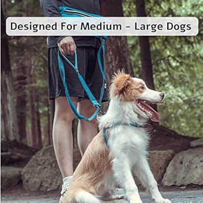 DOCO Heavy Duty Hands Free Dog Leash, Retractable Bungee for Running Walking Jogging, Training, Hiking │ Adjustable Waist Belt, Reflective Stitches, Dual Handle (Medium-Large Dogs, 20-100 lbs) - Image 4