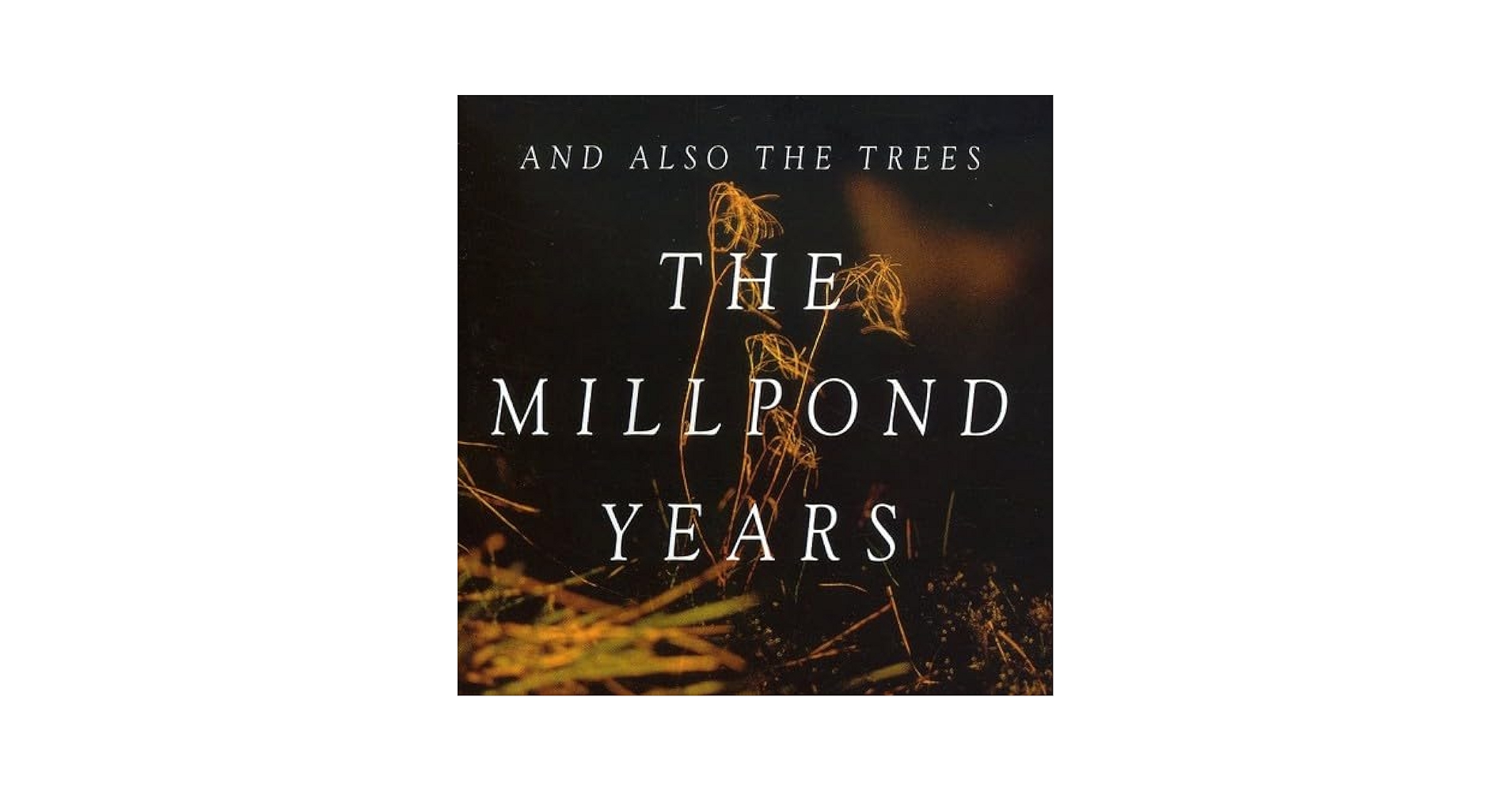 洋楽 AND ALSO THE TREES THE MILLPOND YEARS LP AND ALSO THE TREES - Millpond Years - Amazon.com Music