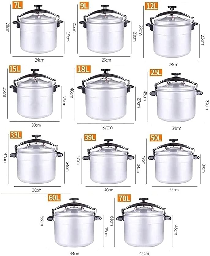 15-50L Multi-Function Pressure Cooker, Explosion-Proof Pressure Cooker, Large-Capacity Soup Pot Stew Pot, Gas Stove and Other Opening Flame General Purpose Pot (Size : 38L)