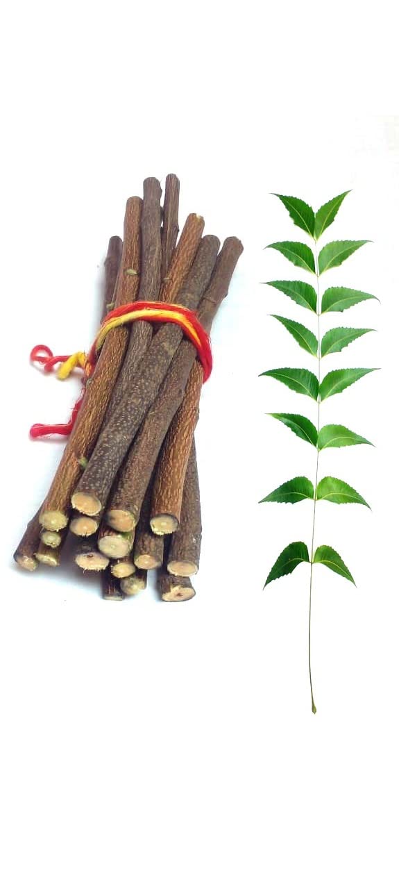 Li6 ®™ Neem Of Datun For Teeth Brushing ( Pack of 14 Pcs ) Natural And Fresh Neem Ka Datun