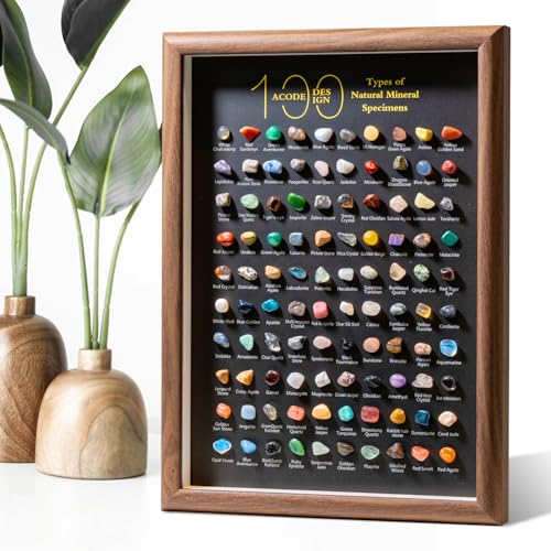 ACODE Natural Mineral Specimen Shadow Box, Geology Collection Case Decoration, Home Decor Wall Art Tabletop Display with Real Rocks Crystals, Gift for Birthday Christmas Housewarming Children's Day