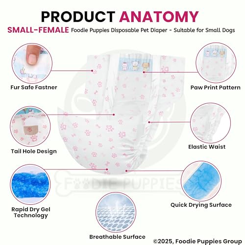 Image of Foodie Puppies Dogs Disposable Diapers for Female Dog - (10Pcs, Small) | Diaper Pants /Sanitary Cotton Underwear Nappy | Leak-Proof, Ultra-Absorbant | Daily and Travelling Purpose