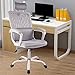 SMUGDESK, Mesh, Ergonomic Office Desk Computer Task Chair, Gray