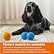 Amazon Basics Supreme Gummibälle zum Spielen für Hunde, 6.35 cm (3 Stück), Blau, Orange