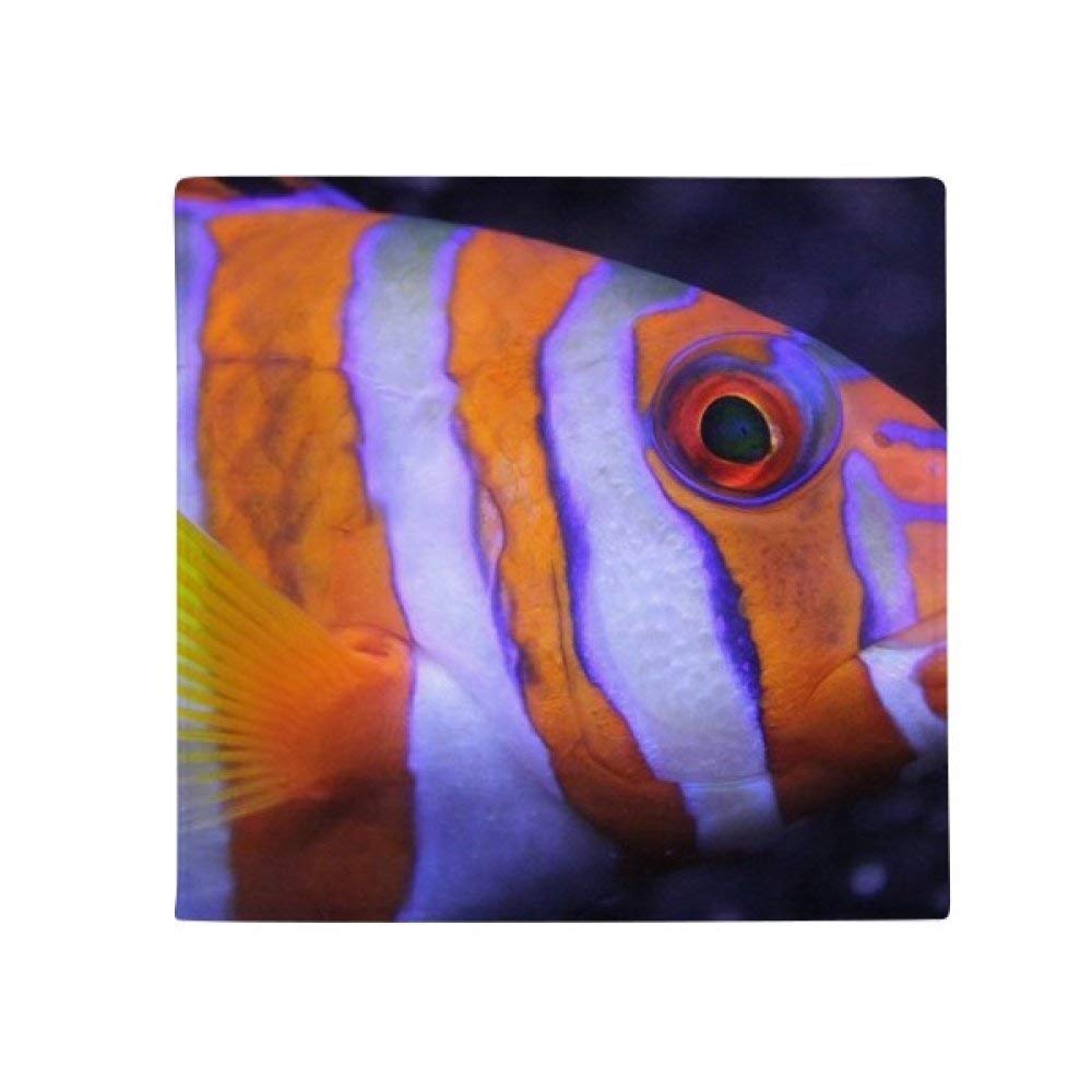 Tapis poisson tropical antidérapant idéal pour égayer le sol de votre salle de bain