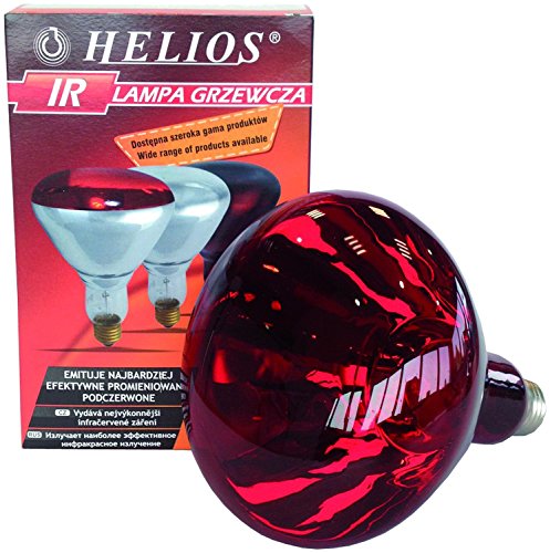 HELIOS - Basse-cour - Chauffage - Lampes - Ampoules - Ampoule infrarouge à vis rouge 150 W - E27 Cover