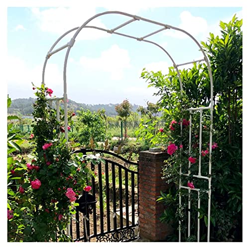 240cm高さ つる植物のサポートアーチ ブラック ガーデニング ガーデン 装飾 アーチ 220/240/280/300/320cm バラのトレリスアーチ パーゴラ アーチ 厚くする 20mm パイプ径 (色 : 白い, サイズ : 幅240 x 高い24