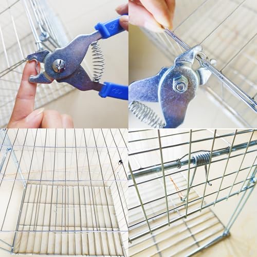 DSQSTMR Animal Trap Cage Pigeon Chicken Squirrel Chipmunk Outside Trapping Live Small Animal Bird Trap Cage