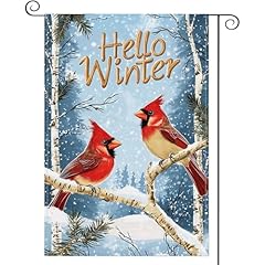 Hello Winter Cardinal Bird