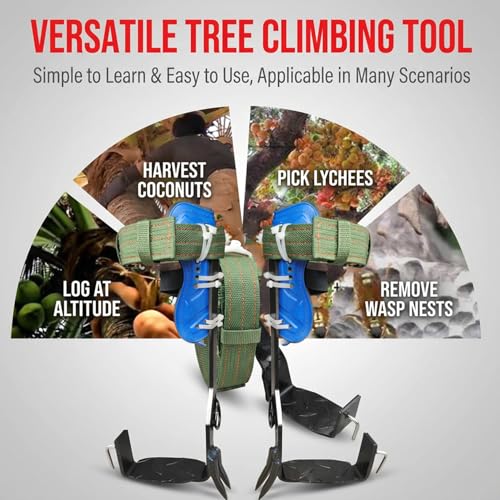 Pointes d'escalade d'arbre et matériel antidérapant de grimpe