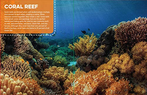 Discovery Real Life Sticker Book: Ocean