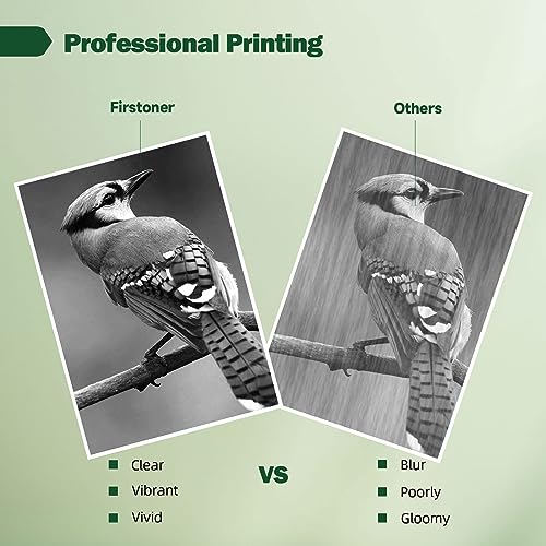 Firstoner 560 XL Tinte Patronen, PG 560 XL Druckerpatronen Schwarz Ersatz für Druckerpatronen 560 für Pixma TS5350 TS5350a TS5350i TS5351 TS5351a TS5352 TS5352a TS5353 TS7450 TS7450a TS7451 TS7451a