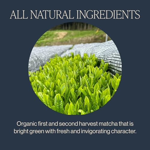 Rishi Tea Everyday Matcha Organic Green Tea Powder