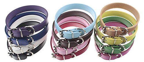 Set de 12 Collares Ajustables de Cuero para Perro Mediano Grande miniatura 3