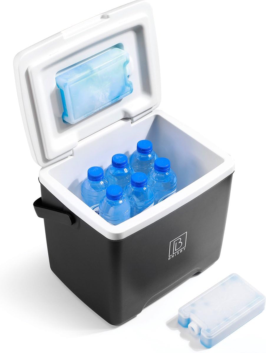 Brisby Kühlbox 13 Liter - 18 Stunden warm - 40 Stunden kühl - Inklusive 2 große Kühlelemente 450 ML -Kühltasche für Arbeit, Camping, Grillen oder Urlaub – BPA-frei