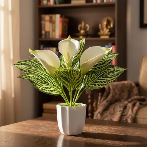Image of fancymart Artificial Calla Lily Plant with Pot - 30 cm Height Decorative Flower Leaves (Pack of 1) | Realistic Faux Plant for Home & Office Decor | Table, Shelf & Desk Decoration