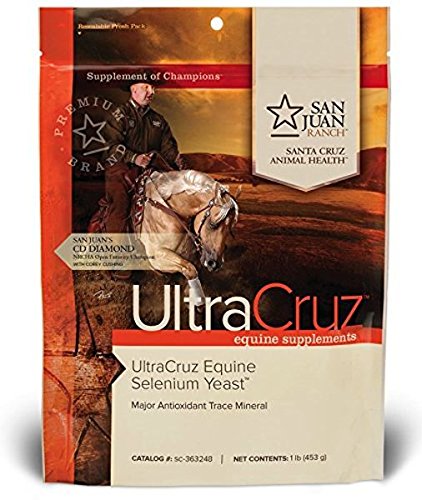 Best Selenium Supplement For Horses