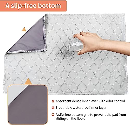 Image of Dog Grass Pet Loo Indoor /Outdoor Portable Potty, Dog Litter Box, Artificial Grass Patch Bathroom Mat and Washable Pee Pad for Puppy Training, Full System with Trays (Pet Training Tray, 20 inchx16 inch)