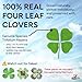 Real Four Leaf Clover Black Pocket Token - Lucky Token, U.S Half Dollar Coin Sized - Genuine 4 Leaf Clover Good Luck Charm - Perfect as Good Luck Gifts
