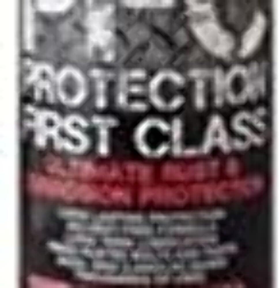 BPFC-A12 2+2 (R) Rust and Corrosion Inhibitor Paint Primer, 12oz