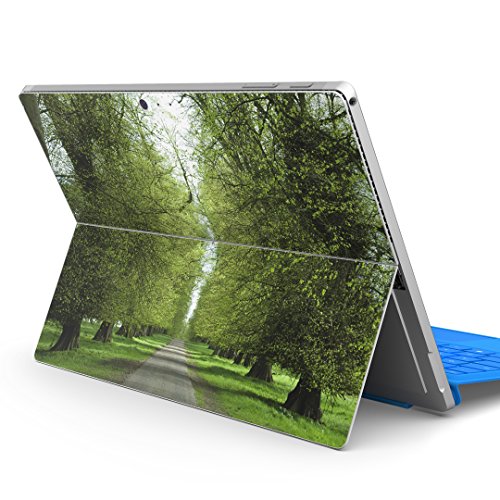 igsticker Surface pro7 (2019) pro6 pro2017 pro4 p XLV[ T[tFX m[gubN m[gp\R Jo[ P[X tB XebJ[ ANZT[ ی 005918 ʐ^Ei ʐ^  