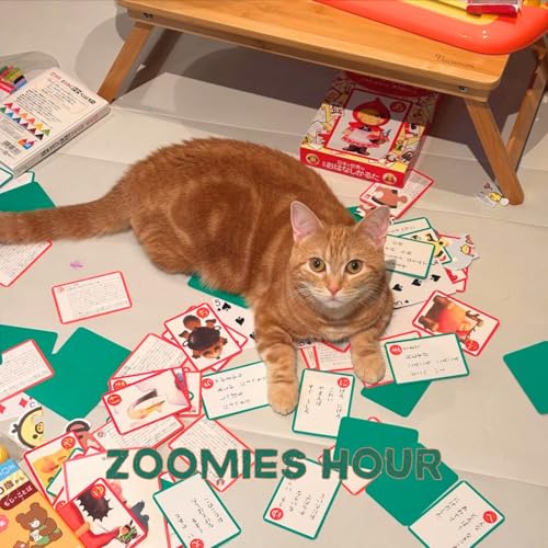 #035 猫のためにできること copertina