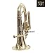 Brass Bb Flat Musical Instrument Euphonium 3 Valve With Free Hard Case Mouthpiece (Brass)