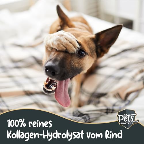 Pets PROTECT reines KOLLAGEN-Pulver für Hunde & Katzen 300 g | Gelenk-Gesundheit Hund | Kollagen-Hydrolysat aus Deutscher Herstellung | 100% natürlich | Collagen mit maximaler Nährstoffdichte