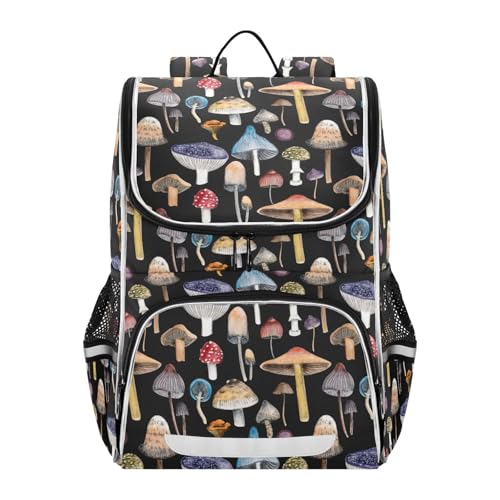 [SUKAU] LbY LmR bN 킢 q e y  j̎q ̎q w @\ v[g 