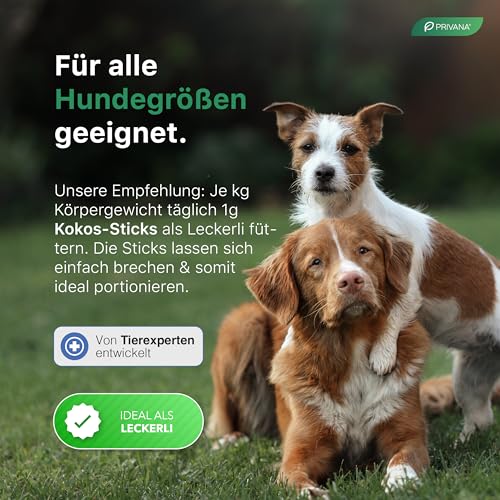 PRIVANA - Kokos-Sticks für Hunde (500g) - Hundesnack aus Kokospresskuchen, Natürliche Leckerlis aus 100% Kokosmark ohne künstliche Zusätze