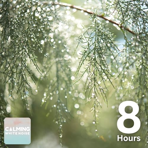 Gentle Rain on Tree Leaves | White Noise Sound for Sleep & Relaxation