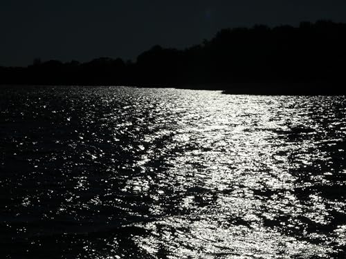 My Beautiful Decay 1973