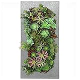 Modern Home Living Wall Galvanized Steel/Zinc Succulent Planter, Wall Mounted Garden Pocket Planter...