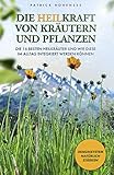kräuter pflanzen  Die Heilkraft von Kräutern und Pflanzen: Die 16 besten Heilkräuter und wie diese im Alltag integriert werden können. Immunsystem natürlich stärken