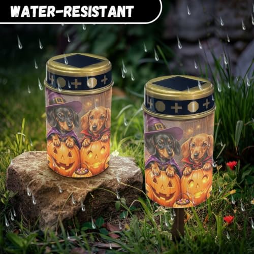 Image of Poceacles Halloween Decor Solar Lights Outdoor Solar Powered Cemetery Stake Lights Grave Lamp Landscape Lighting Waterproof Grave Flameless Candles, Dachshund Dog Pumpkin, Pack of 4