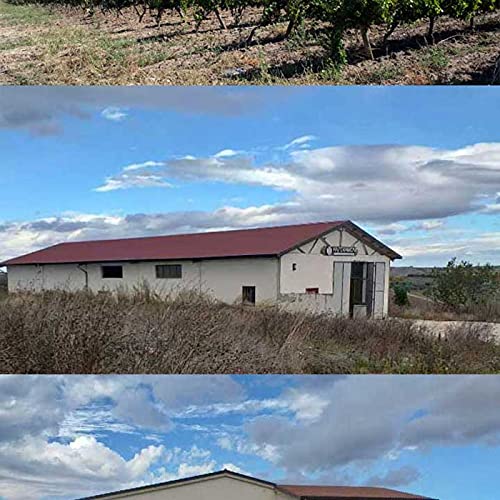 venosa_azienda_vitivinicola