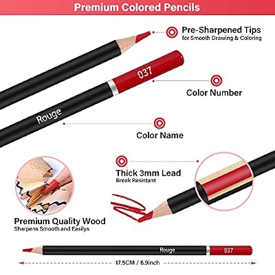 96pcs Colored Drawing Pencils Kit Sketching, Graphite Pencils With Convenient Case, Ideal School Art Supplies Gift for Artists Adults Teens Beginner, Ideal for Shading, Blending,Art Supplies Set,