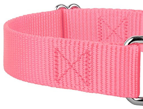 Country Brook Petz - Pink Martingale Heavy Duty Nylon Dog Collar - 21 Vibrant Color Options (3/4 Inch Width, Small) #TOP7